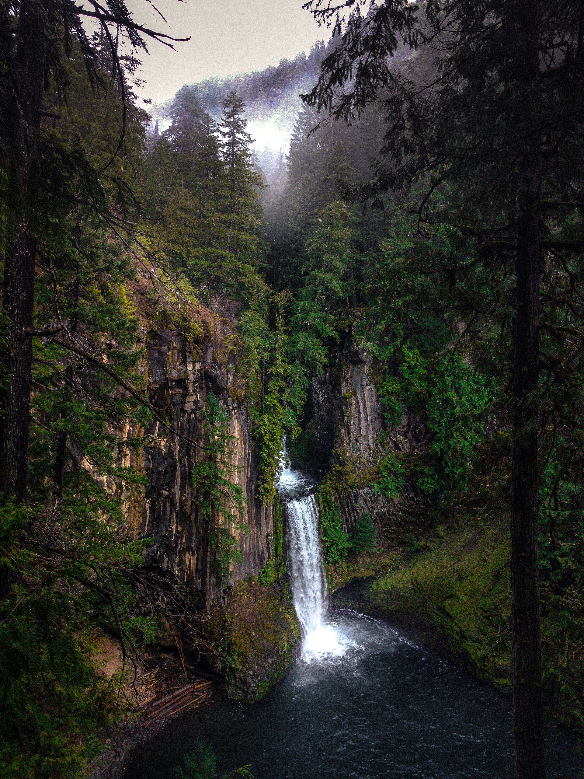 Toketee Falls dropping in two tiers between basalt columns on the North Umpqua River